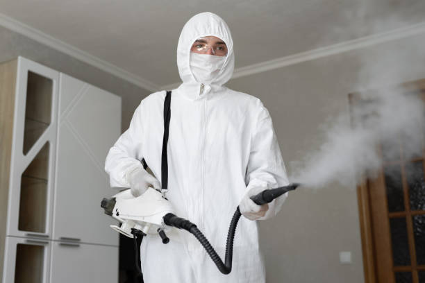 Best Emergency Mold Remediation  in Mccom, MS